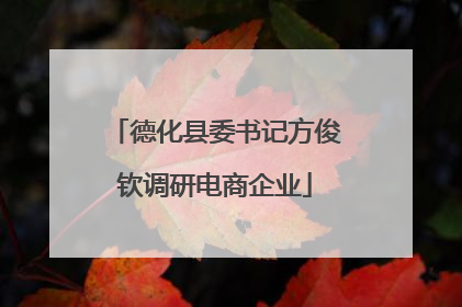 德化县委书记方俊钦调研电商企业