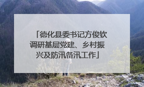 德化县委书记方俊钦调研基层党建、乡村振兴及防汛备汛工作
