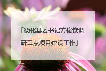 德化县委书记方俊钦调研重点项目建设工作