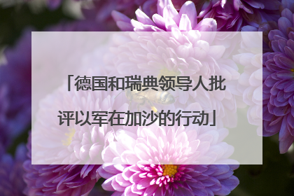 德国和瑞典领导人批评以军在加沙的行动
