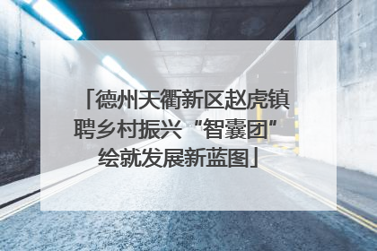 德州天衢新区赵虎镇聘乡村振兴“智囊团” 绘就发展新蓝图