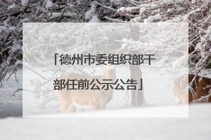 德州市委组织部干部任前公示公告