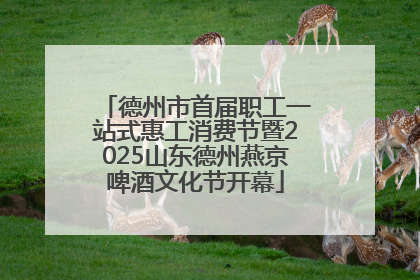 德州市首届职工一站式惠工消费节暨2025山东德州燕京啤酒文化节开幕