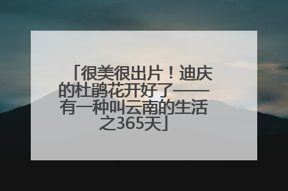 很美很出片！迪庆的杜鹃花开好了——有一种叫云南的生活之365天
