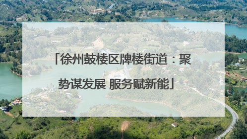 徐州鼓楼区牌楼街道：聚势谋发展 服务赋新能