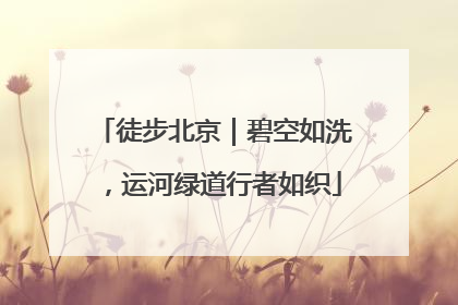 徒步北京｜碧空如洗，运河绿道行者如织