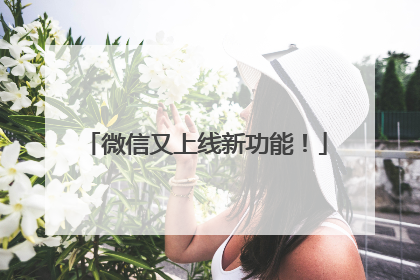 微信又上线新功能！