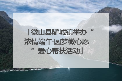 微山县驩城镇举办“浓情端午·圆梦微心愿”爱心帮扶活动