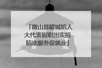 微山县驩城镇人大代表履职出实招精准服务促就业