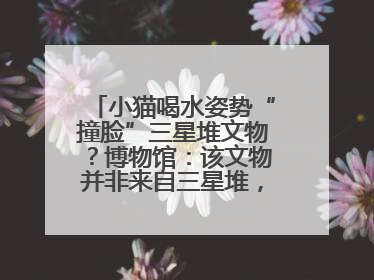 小猫喝水姿势“撞脸”三星堆文物？博物馆：该文物并非来自三星堆，有可能是它