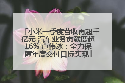 小米一季度营收再超千亿元 汽车业务贡献度超16% 卢伟冰：全力保障年度交付目标实现