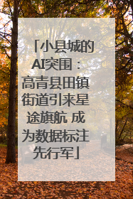 小县城的AI突围：高青县田镇街道引来星途旗航 成为数据标注先行军