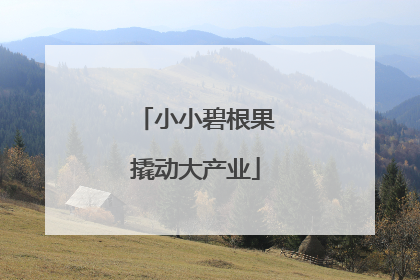 小小碧根果撬动大产业