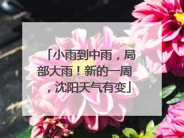 小雨到中雨，局部大雨！新的一周，沈阳天气有变