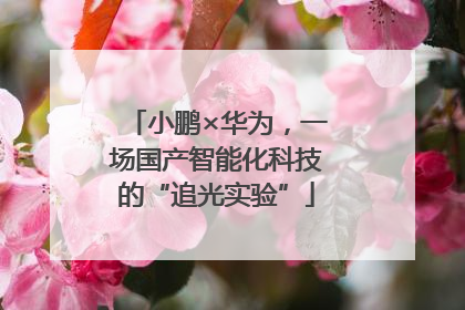 小鹏×华为，一场国产智能化科技的“追光实验”