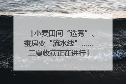 小麦田间“选秀”、蚕房变“流水线”……三夏收获正在进行
