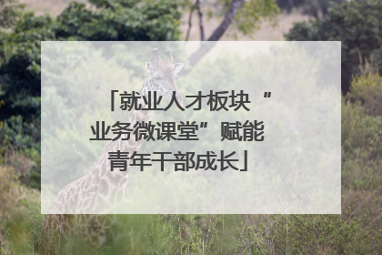 就业人才板块“业务微课堂”赋能青年干部成长