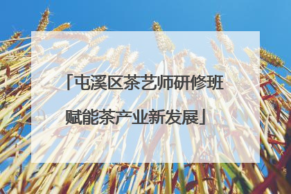 屯溪区茶艺师研修班赋能茶产业新发展