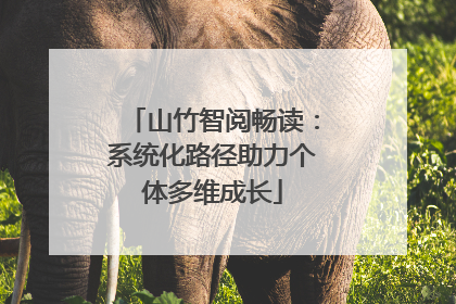 山竹智阅畅读：系统化路径助力个体多维成长