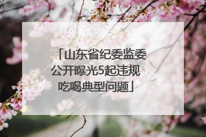山东省纪委监委公开曝光5起违规吃喝典型问题