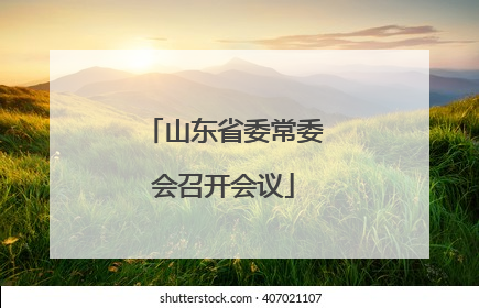 山东省委常委会召开会议