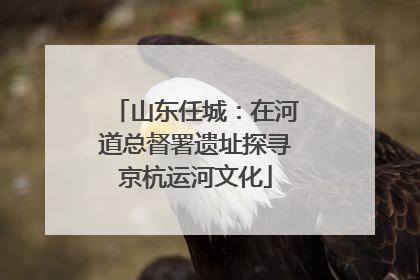 山东任城：在河道总督署遗址探寻京杭运河文化