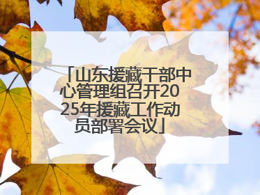 山东援藏干部中心管理组召开2025年援藏工作动员部署会议