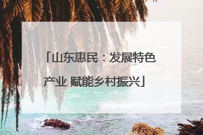 山东惠民：发展特色产业 赋能乡村振兴