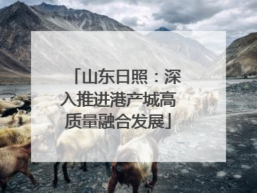 山东日照：深入推进港产城高质量融合发展