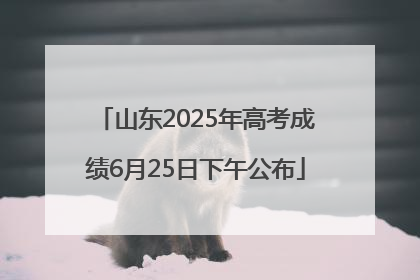 山东2025年高考成绩6月25日下午公布