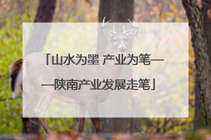 山水为墨 产业为笔——陕南产业发展走笔