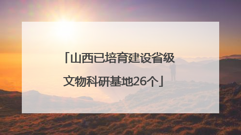 山西已培育建设省级文物科研基地26个