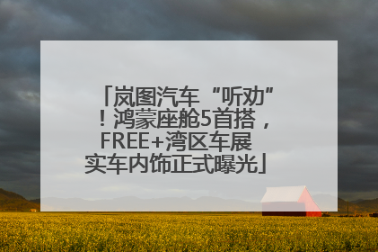 岚图汽车“听劝”！鸿蒙座舱5首搭，FREE+湾区车展实车内饰正式曝光