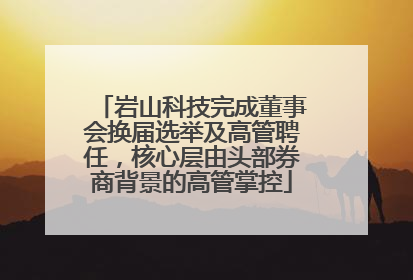 岩山科技完成董事会换届选举及高管聘任，核心层由头部券商背景的高管掌控