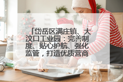 岱岳区满庄镇、大汶口工业园：完善制度、贴心护航、强化监管，打造优质营商“强磁场”