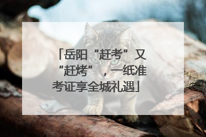 岳阳“赶考”又“赶烤”，一纸准考证享全城礼遇