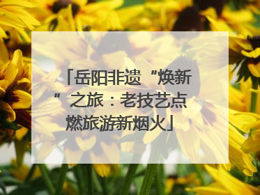 岳阳非遗“焕新”之旅：老技艺点燃旅游新烟火