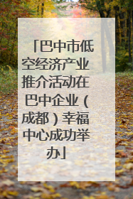巴中市低空经济产业推介活动在巴中企业（成都）幸福中心成功举办