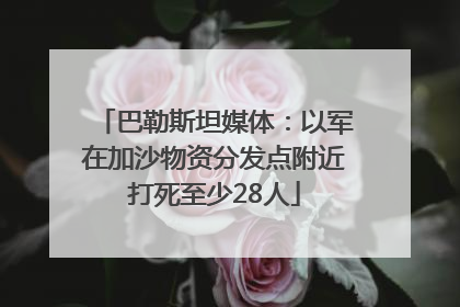 巴勒斯坦媒体：以军在加沙物资分发点附近打死至少28人