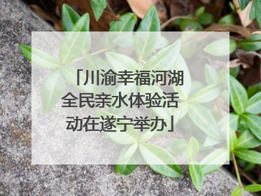 川渝幸福河湖全民亲水体验活动在遂宁举办