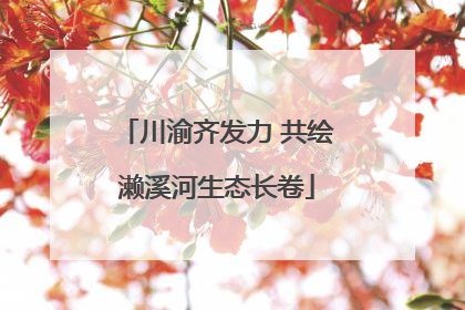 川渝齐发力 共绘濑溪河生态长卷