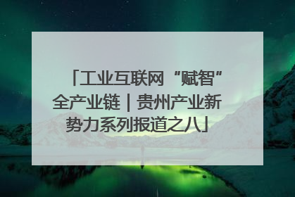 工业互联网“赋智”全产业链｜贵州产业新势力系列报道之八