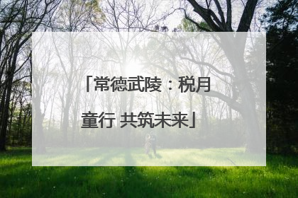 常德武陵：税月童行 共筑未来