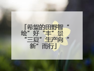希望的田野智“绘”好“丰”景 “三夏”生产向“新”而行