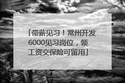 带薪见习！常州开发6000见习岗位，领工资交保险可留用