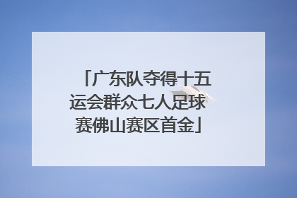 广东队夺得十五运会群众七人足球赛佛山赛区首金