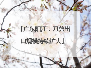 广东阳江：刀剪出口规模持续扩大
