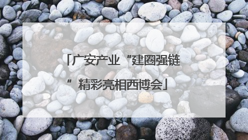 广安产业“建圈强链”精彩亮相西博会