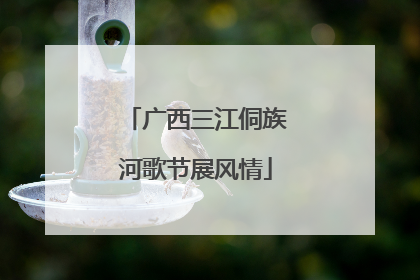 广西三江侗族河歌节展风情