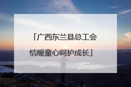 广西东兰县总工会情暖童心呵护成长
